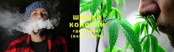 дурь Богородицк
