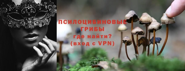 дурь Богородицк