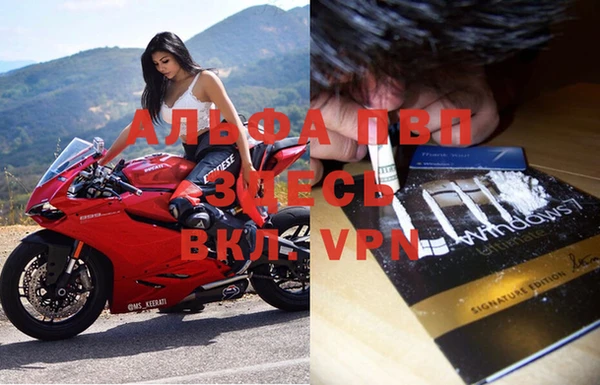 экстази Богданович