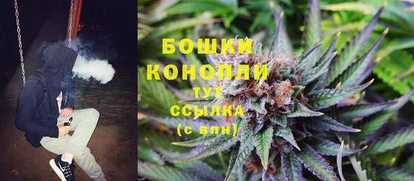 дурь Богородицк