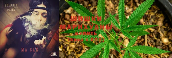 экстази Богданович