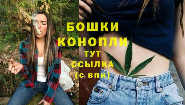 экстази Богданович