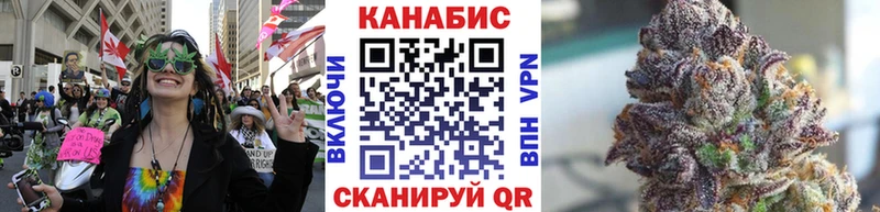 Бошки марихуана THC 21%  Котельнич 